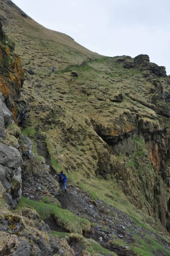 Subindo o rochedo Heimaklettur, ao lado de Vestmannaeyjum,  na ilha de Heimaey, no sul da Islândia